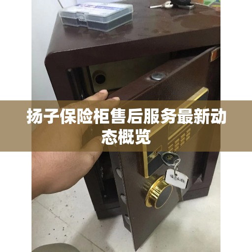 扬子保险柜售后服务最新动态概览