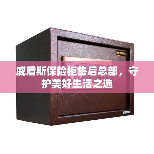 威盾斯保险柜售后总部，守护美好生活之选