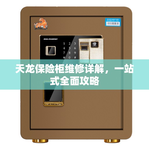 天龙保险柜维修详解,一站式全面攻略 天龙保险柜维修详解,一站式全面攻略