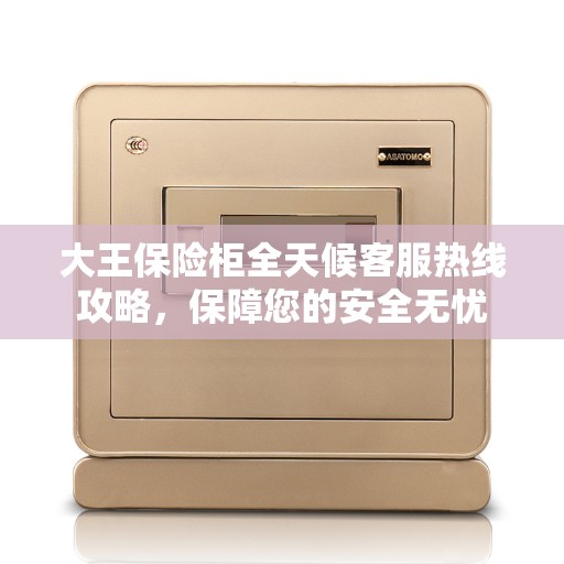 大王保险柜全天候客服热线攻略，保障您的安全无忧