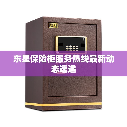 东星保险柜服务热线最新动态速递