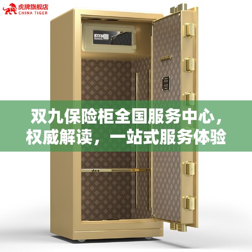 双九保险柜全国服务中心，权威解读，一站式服务体验