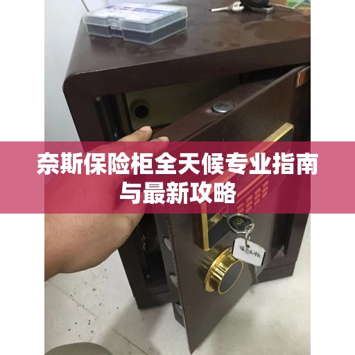 奈斯保险柜全天候专业指南与最新攻略