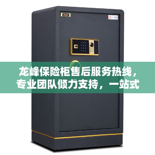 龙峰保险柜售后服务热线，专业团队倾力支持，一站式解决方案决策指南
