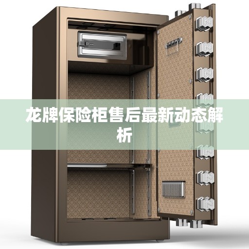 龙牌保险柜售后最新动态解析