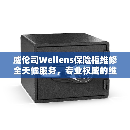 威伦司Wellens保险柜维修全天候服务，专业权威的维修支持