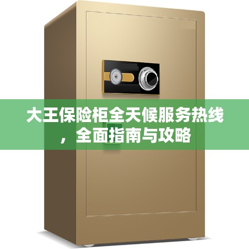 大王保险柜全天候服务热线，全面指南与攻略