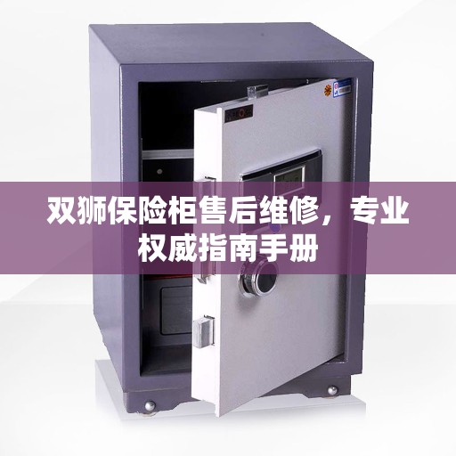 双狮保险柜售后维修，专业权威指南手册