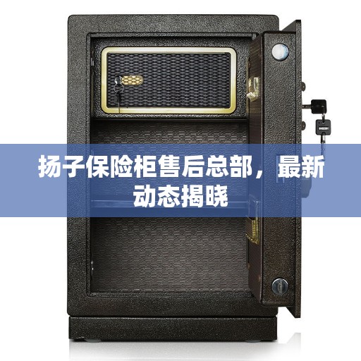 扬子保险柜售后总部，最新动态揭晓