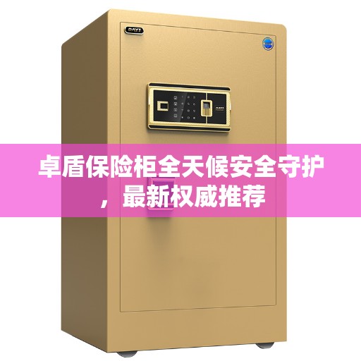 卓盾保险柜全天候安全守护，最新权威推荐