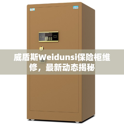 威盾斯Weidunsi保险柜维修，最新动态揭秘