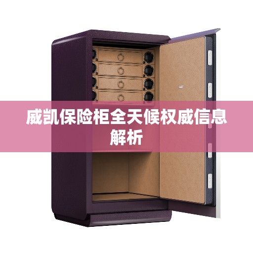 威凯保险柜全天候权威信息解析