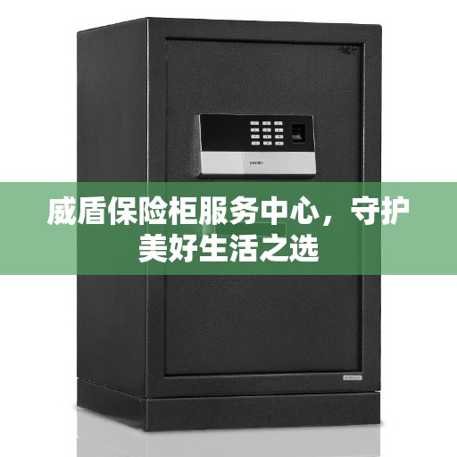 威盾保险柜服务中心，守护美好生活之选