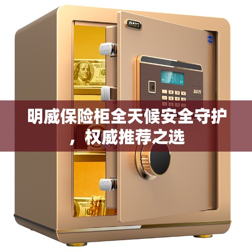 明威保险柜全天候安全守护，权威推荐之选