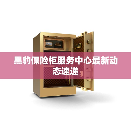 黑豹保险柜服务中心最新动态速递