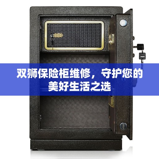 双狮保险柜维修，守护您的美好生活之选