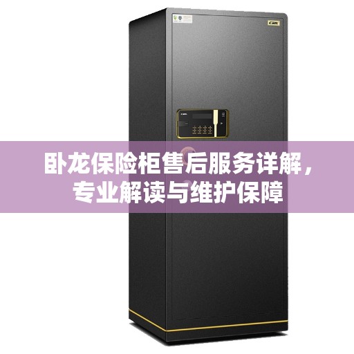 卧龙保险柜售后服务详解，专业解读与维护保障