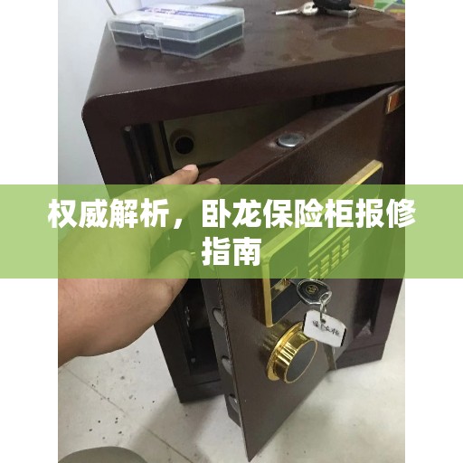 权威解析，卧龙保险柜报修指南