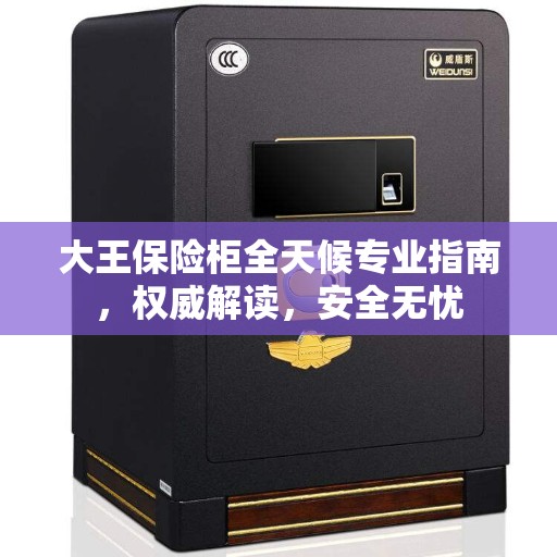 大王保险柜全天候专业指南，权威解读，安全无忧