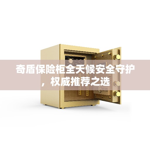 奇盾保险柜全天候安全守护，权威推荐之选