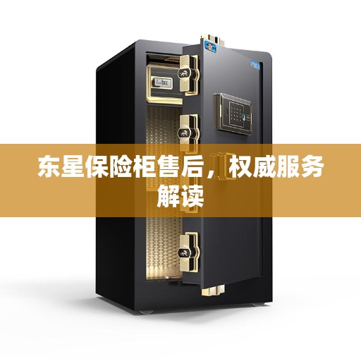 东星保险柜售后，权威服务解读