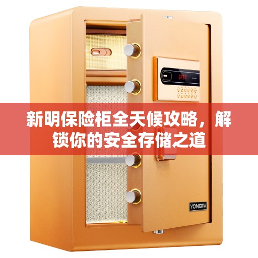 新明保险柜全天候攻略，解锁你的安全存储之道