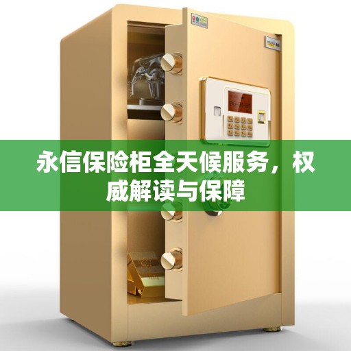 永信保险柜全天候服务，权威解读与保障