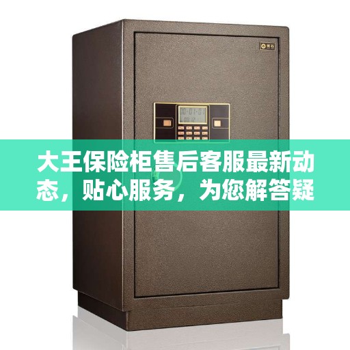 大王保险柜售后客服最新动态，贴心服务，为您解答疑惑