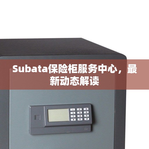 Subata保险柜服务中心，最新动态解读