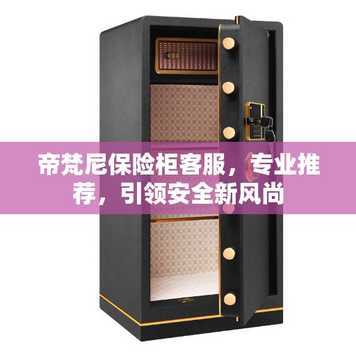 帝梵尼保险柜客服，专业推荐，引领安全新风尚