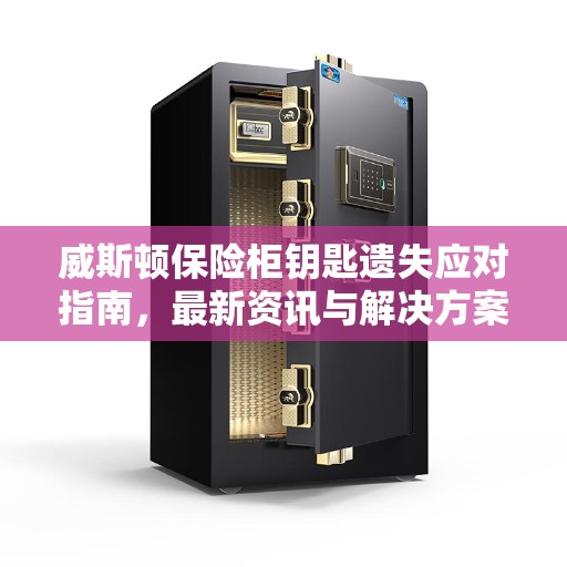 威斯顿保险柜钥匙遗失应对指南，最新资讯与解决方案