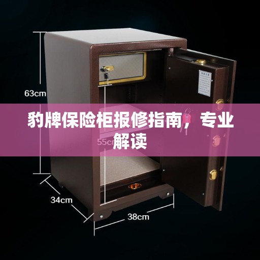 豹牌保险柜报修指南，专业解读