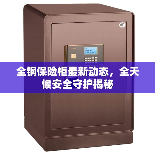 全钢保险柜最新动态，全天候安全守护揭秘