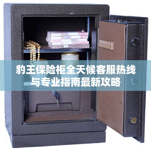 豹王保险柜全天候客服热线与专业指南最新攻略