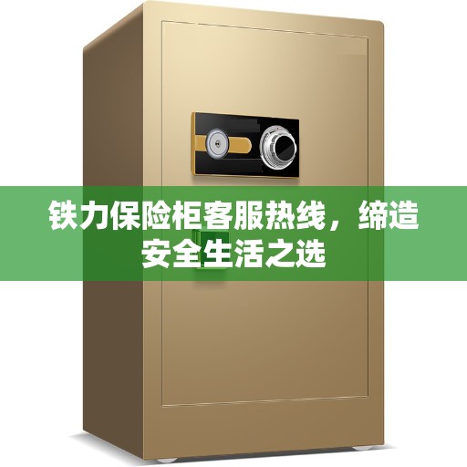 铁力保险柜客服热线，缔造安全生活之选