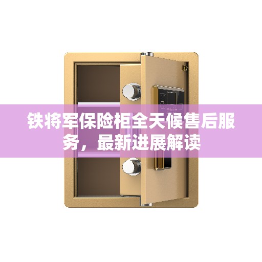 铁将军保险柜全天候售后服务，最新进展解读