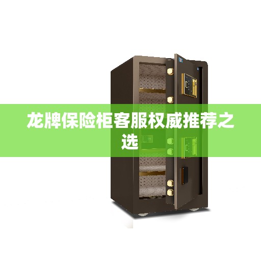 龙牌保险柜客服权威推荐之选