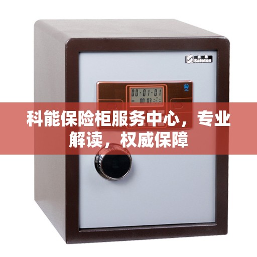 科能保险柜服务中心，专业解读，权威保障