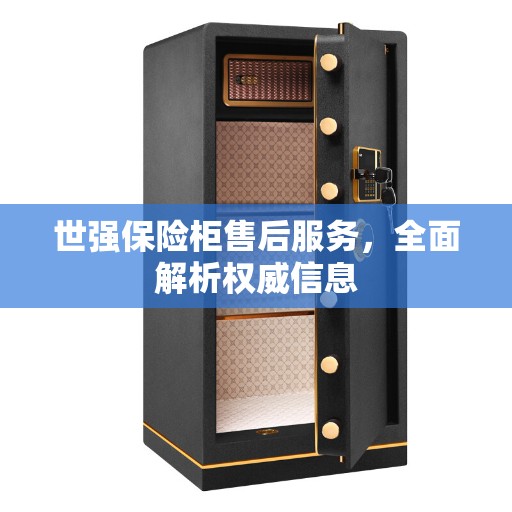 世强保险柜售后服务，全面解析权威信息