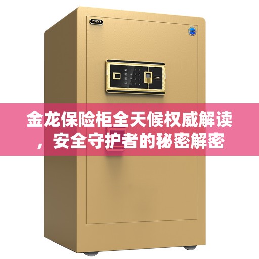 金龙保险柜全天候权威解读，安全守护者的秘密解密