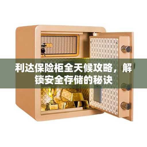 利达保险柜全天候攻略，解锁安全存储的秘诀