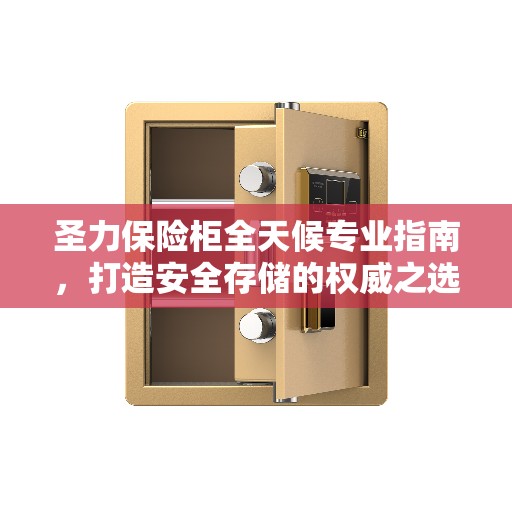 圣力保险柜全天候专业指南，打造安全存储的权威之选