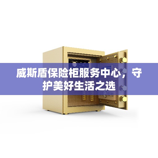 威斯盾保险柜服务中心，守护美好生活之选