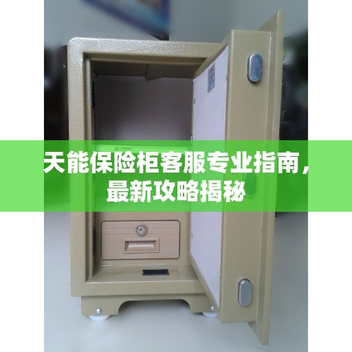 天能保险柜客服专业指南，最新攻略揭秘