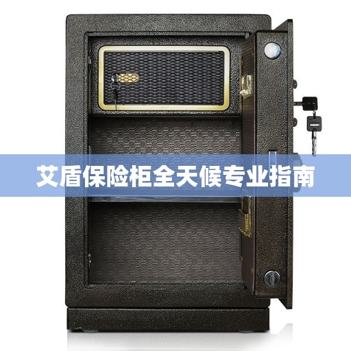 艾盾保险柜全天候专业指南