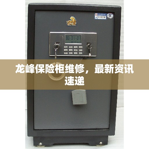 龙峰保险柜维修，最新资讯速递