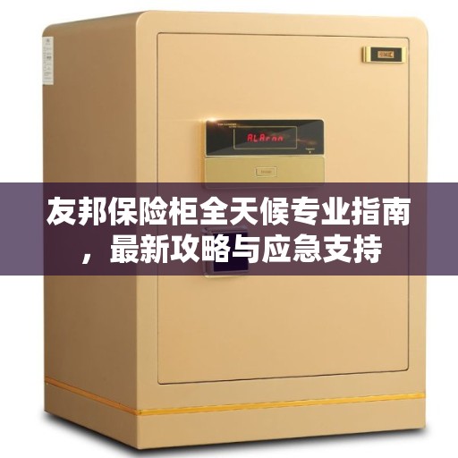 友邦保险柜全天候专业指南，最新攻略与应急支持