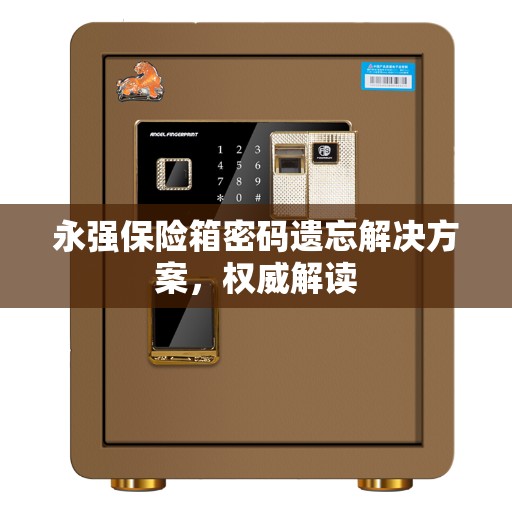 永强保险箱密码遗忘解决方案，权威解读