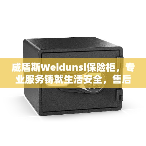 威盾斯Weidunsi保险柜，专业服务铸就生活安全，售后无忧缔造美好生活