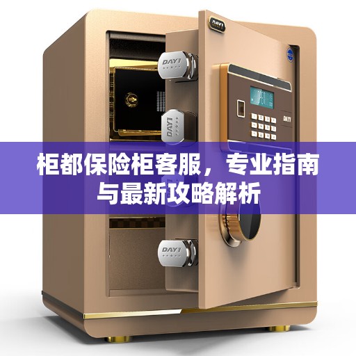 柜都保险柜客服，专业指南与最新攻略解析